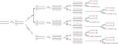 Is Natural Population of Candida tropicalis Sexual, Parasexual, and/or Asexual?